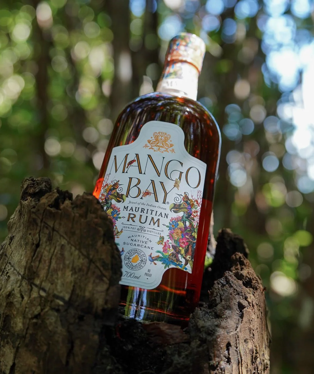 Mango Bay hits the UK shelves!