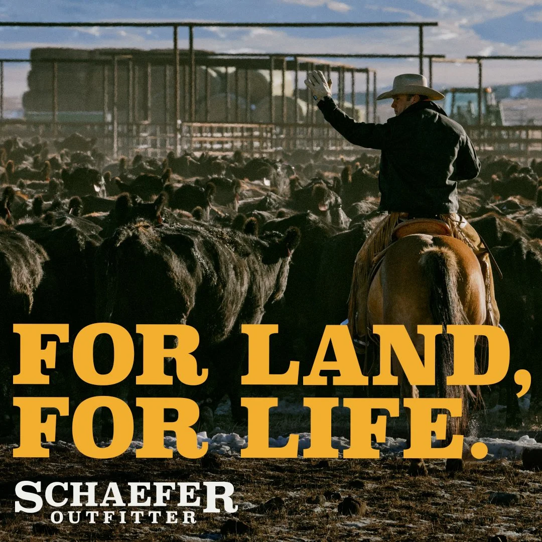 Schaefer_Ads_Artboard 4.jpg