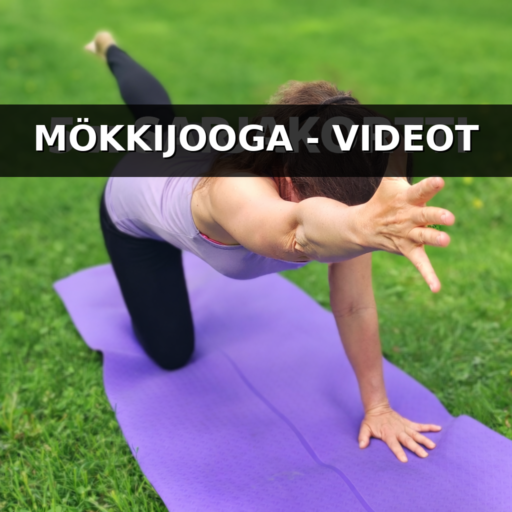 MÖKKIJOOGA