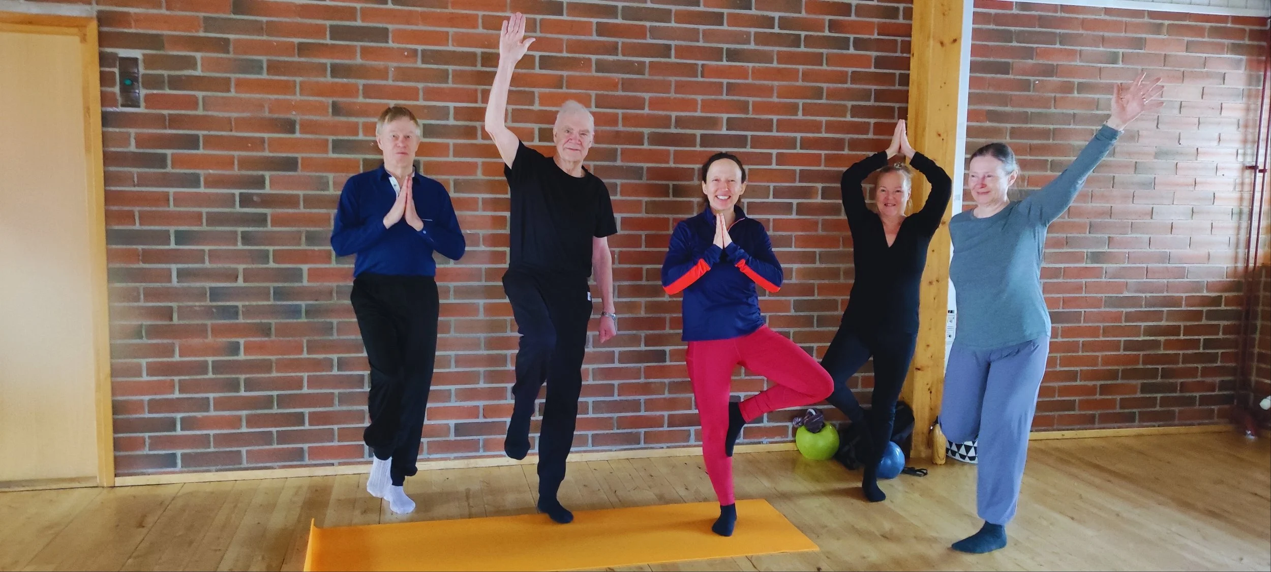Lempeä kehonhuolto &amp; jooga ALKEISKURSSI