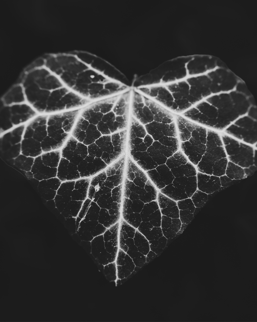 Fibromialgia - o realitate invizibila