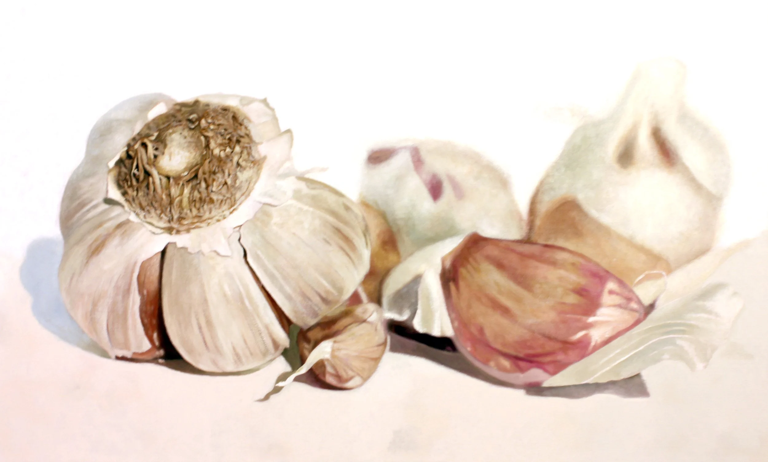 Garlics, 54 x 90 cm, Sold