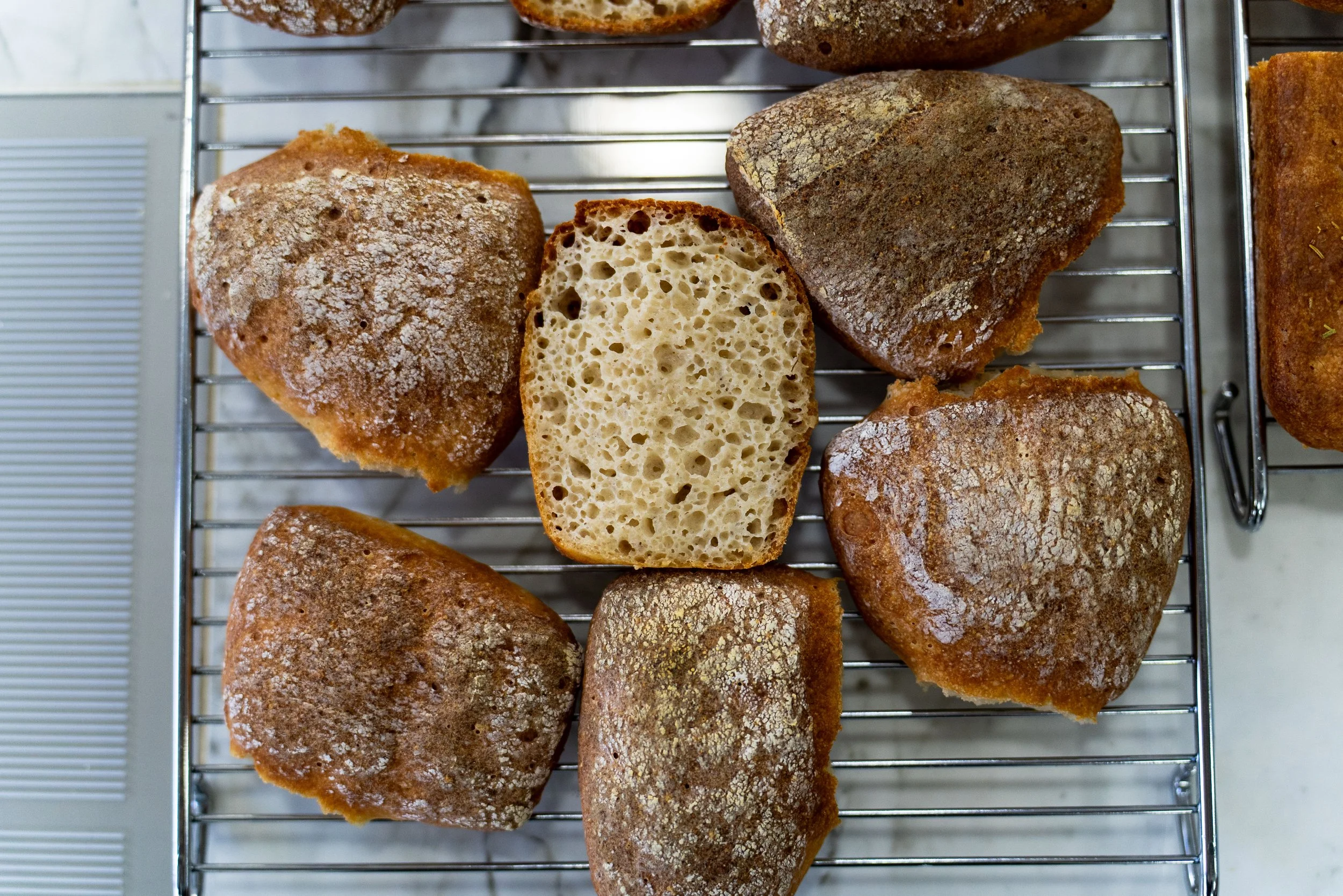 DSC01061.jpg