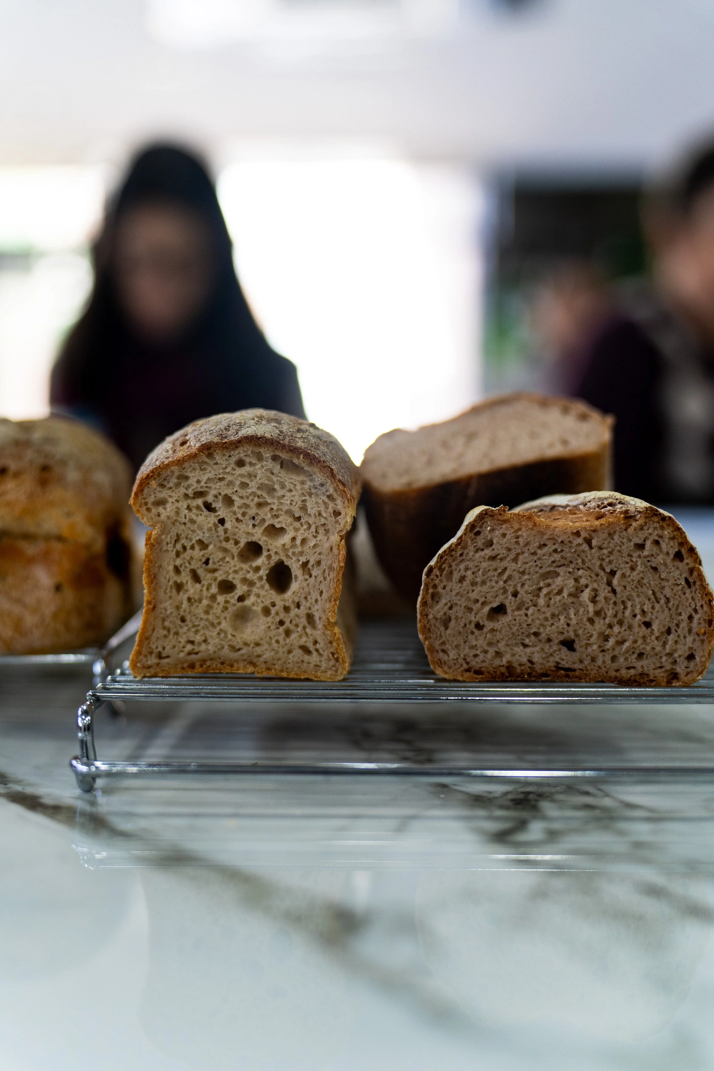DSC01059.jpg