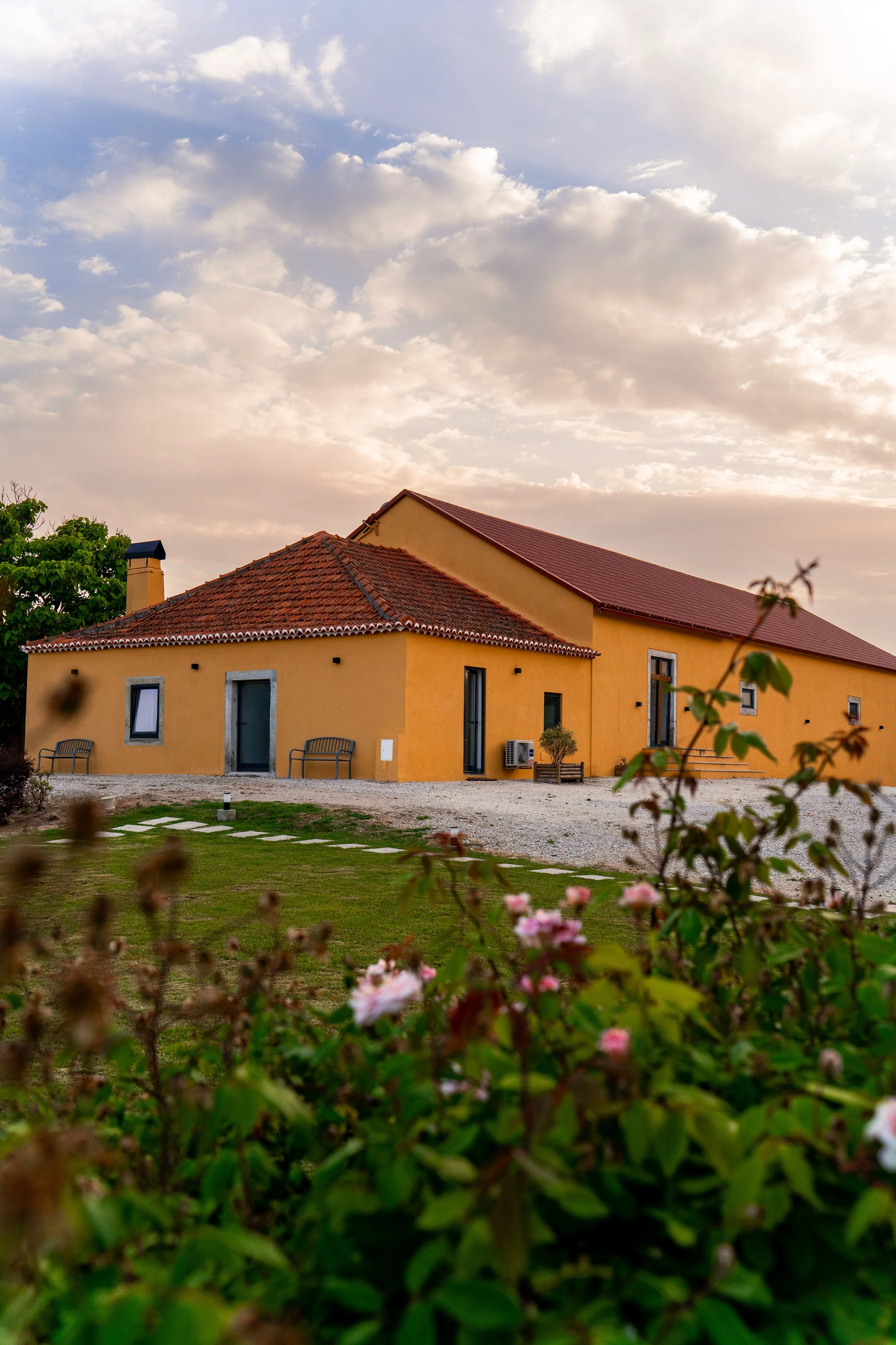Exterior (8).jpg