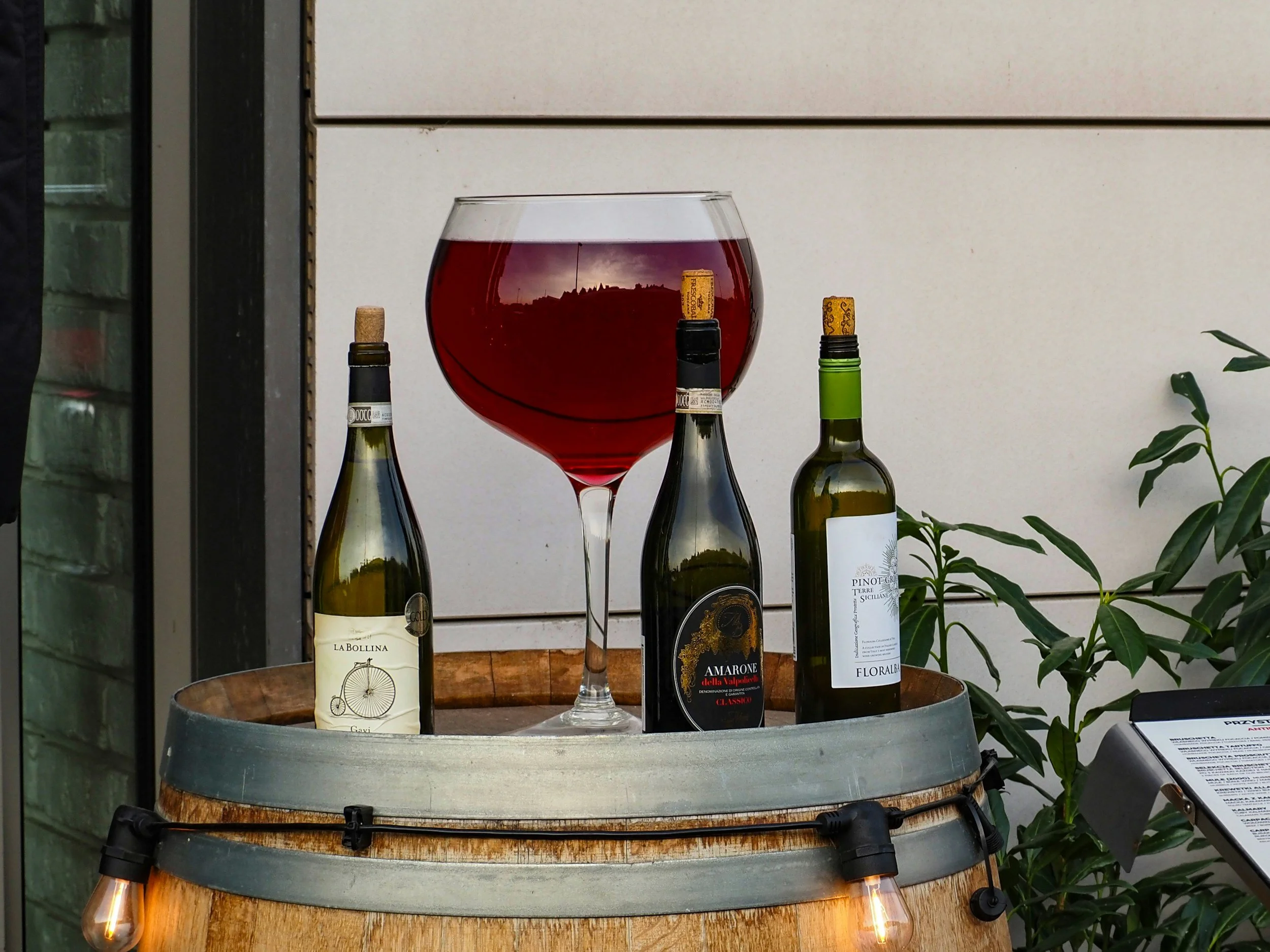 Hunter Valley boutique wine tasting, organic and sustainable winery experience, small group wine tours from Newcastle