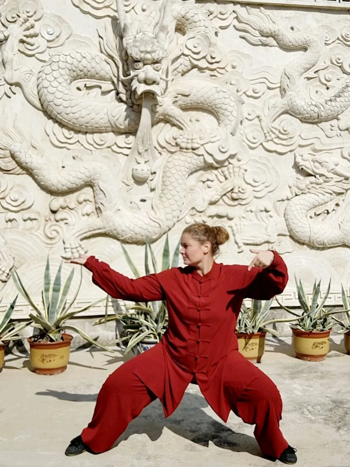 My heart is my temple. My practice lives there. Safe. Quiet. Steady.

#taich #kungfulife #china