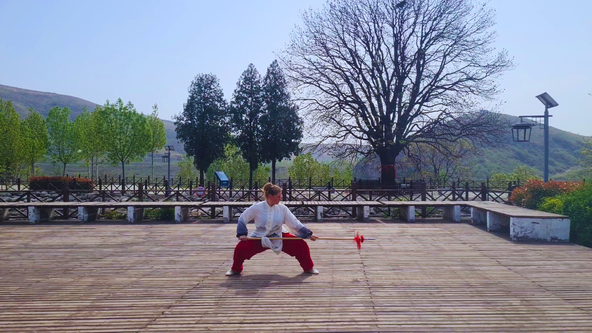 tai chi video page .png