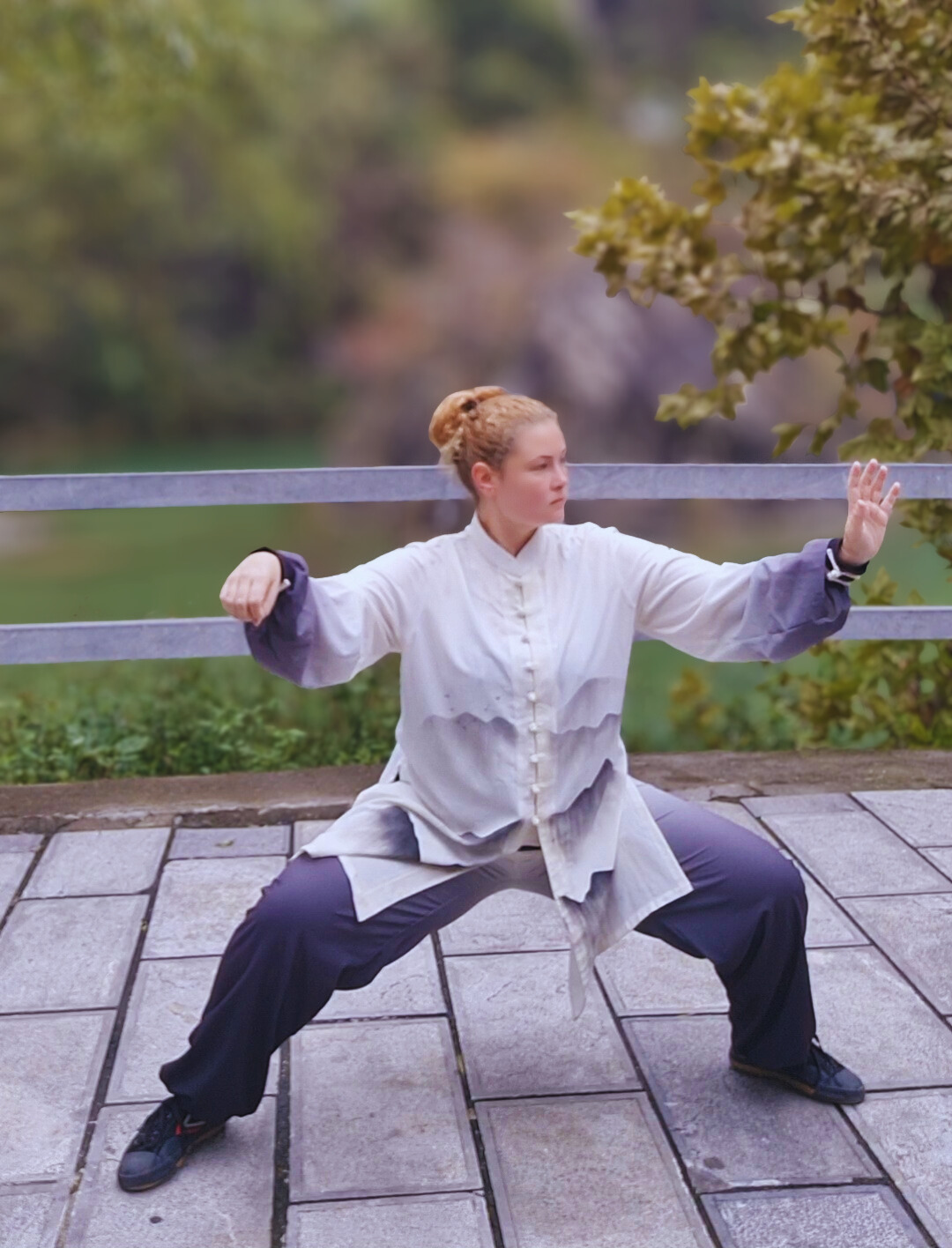 td Tai chi white.png