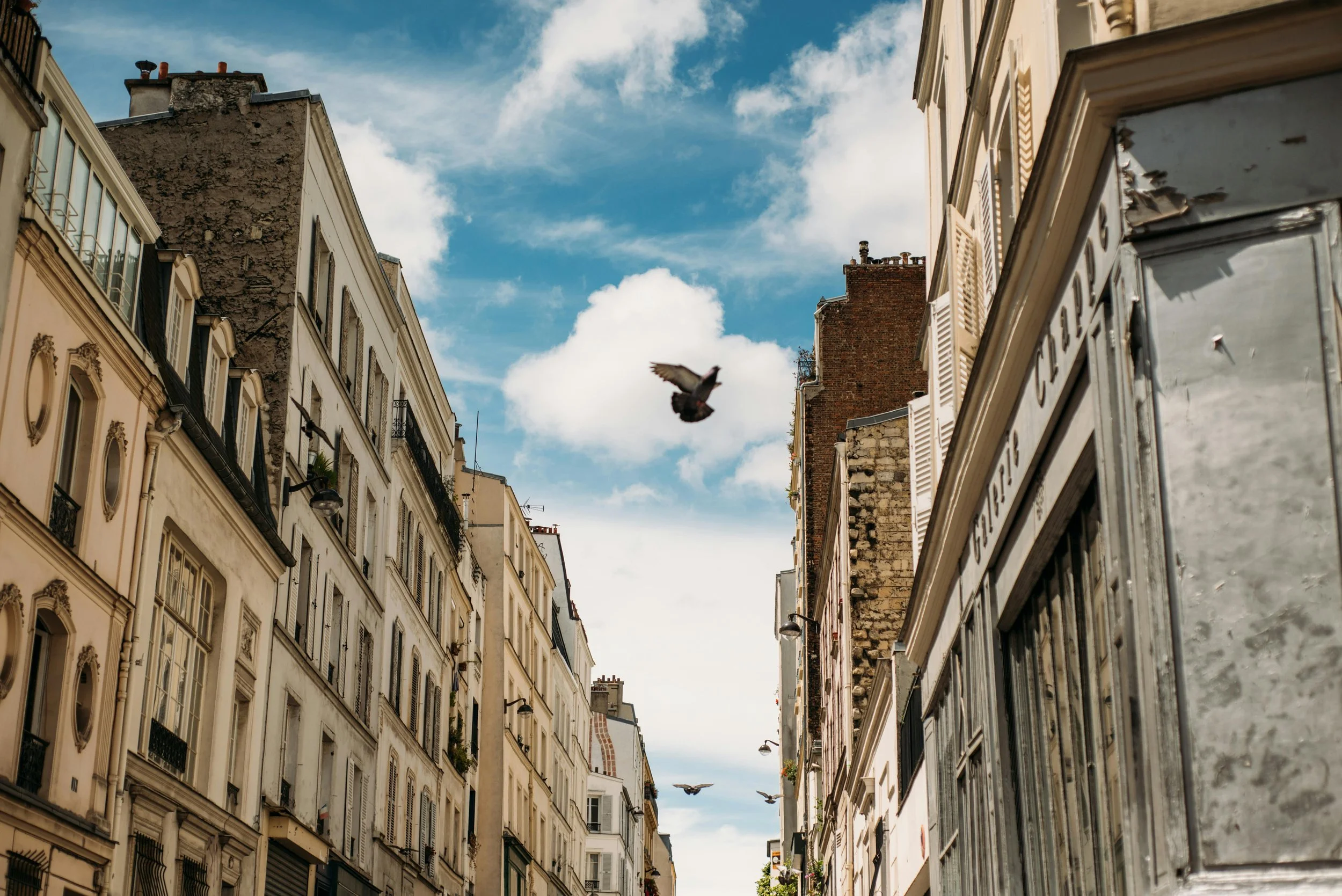 Vue de rue parisienne avec bâtiments anciens, ciel bleu et pigeons en vol.