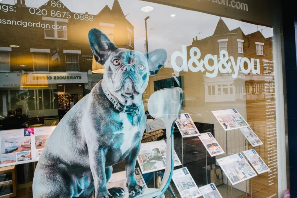 Vitrine de magasin avec une grande illustration d'un bouledogue français avec un collier, derrière une grande cuillère en plastique, et des affiches de propriétés immobilières. Reflets de bâtiments et d'un ciel nuageux visibles sur la vitre.