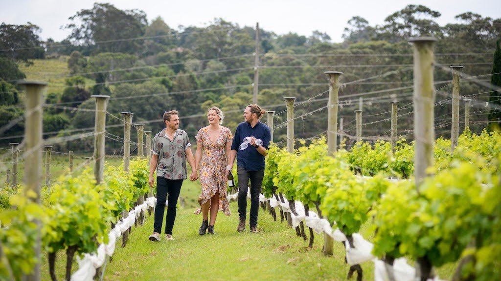 cupitt’s estate - the winemaker’s way