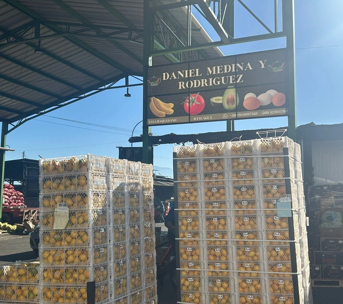 WhatsApp Image 2025-07-23 at 11.23.42 AM (1).jpeg