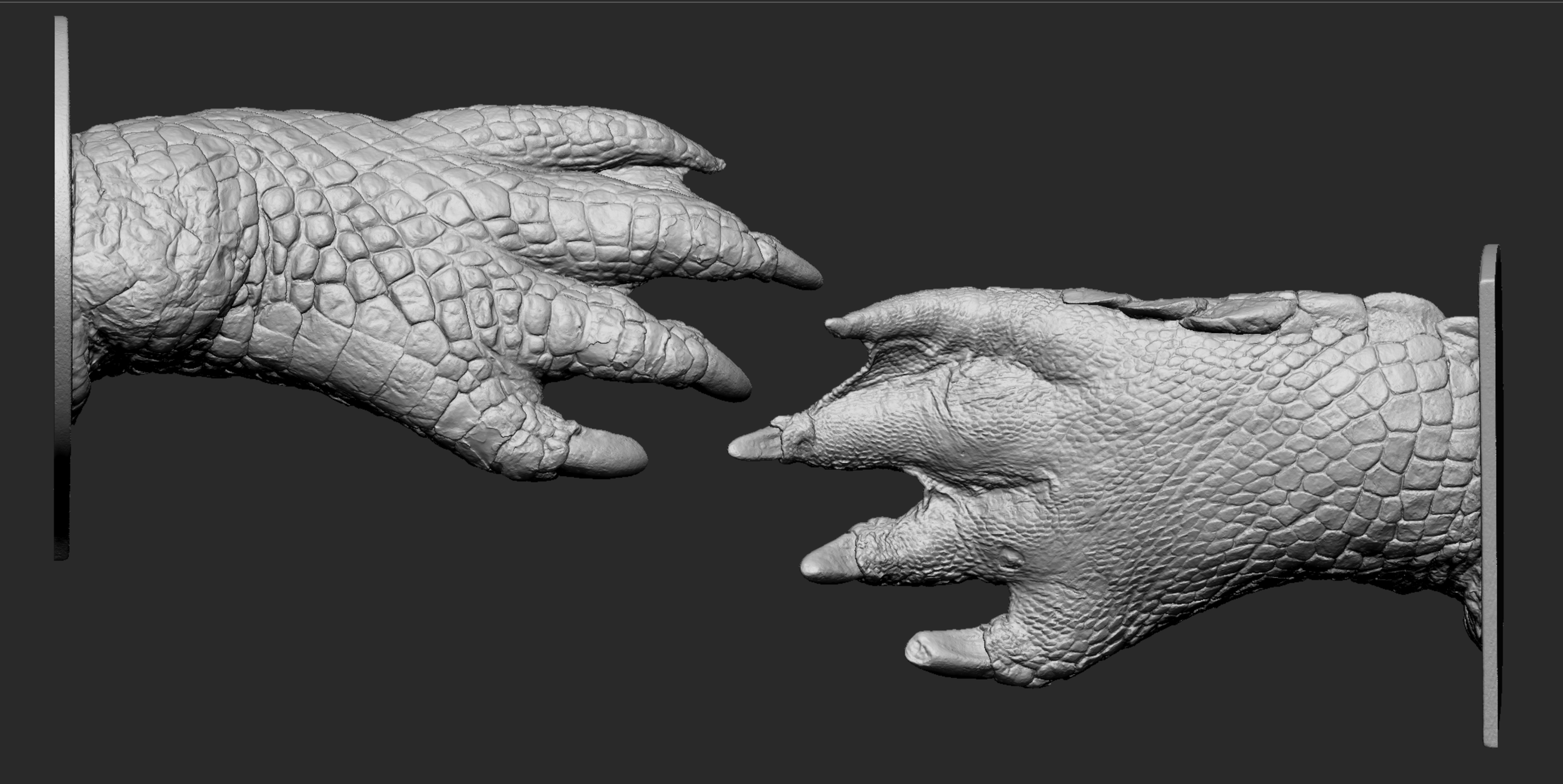 Salt Water Crocodile 3d Photogrammetry Scan