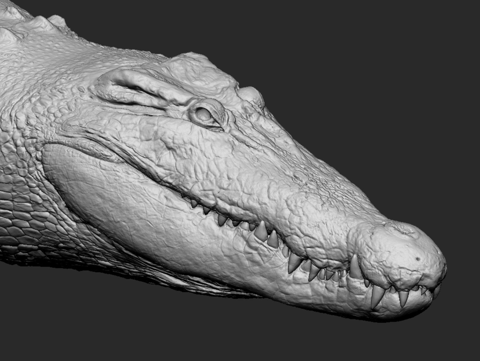 3D rendering of a crocodile head, showing textured skin, sharp teeth, and detailed facial features.