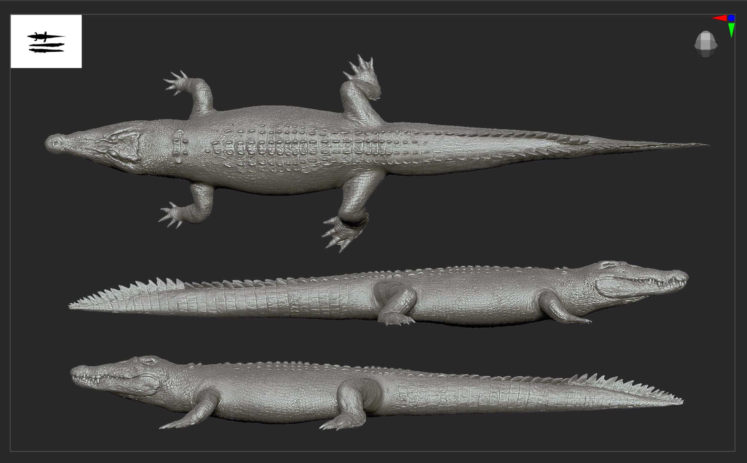3D digital models of a crocodile from top, side, and bottom views.