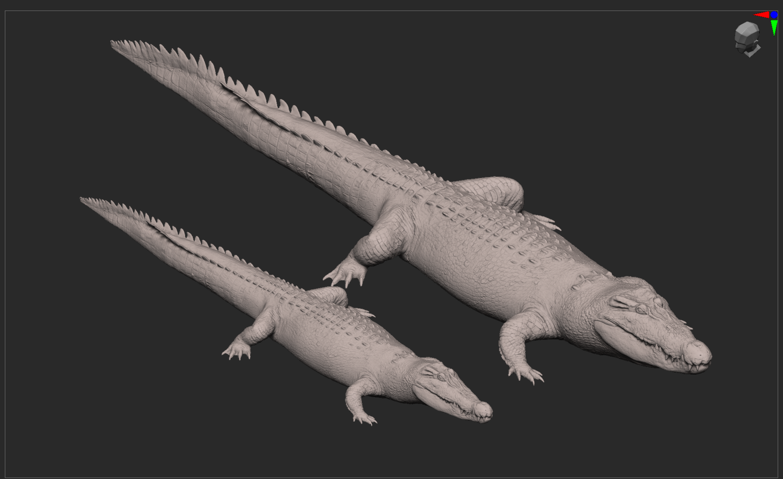 Zbrush Sculpting Male and Female Australian Salt Water Crocodiles