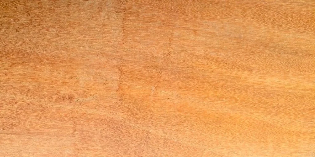 garapa