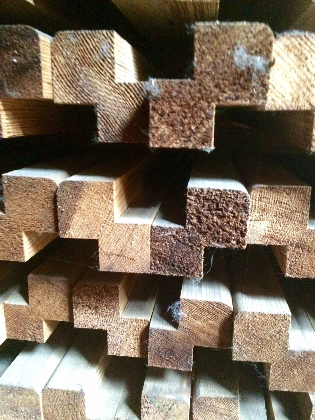 CEDER 40X40