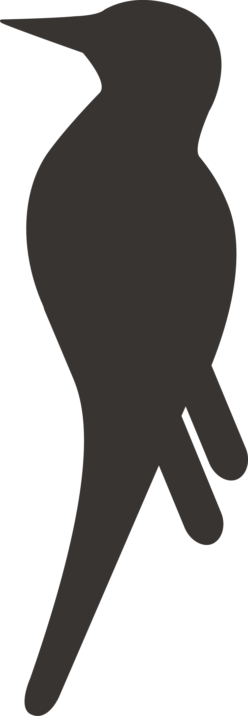 SIlhouet van een vogel: Specht