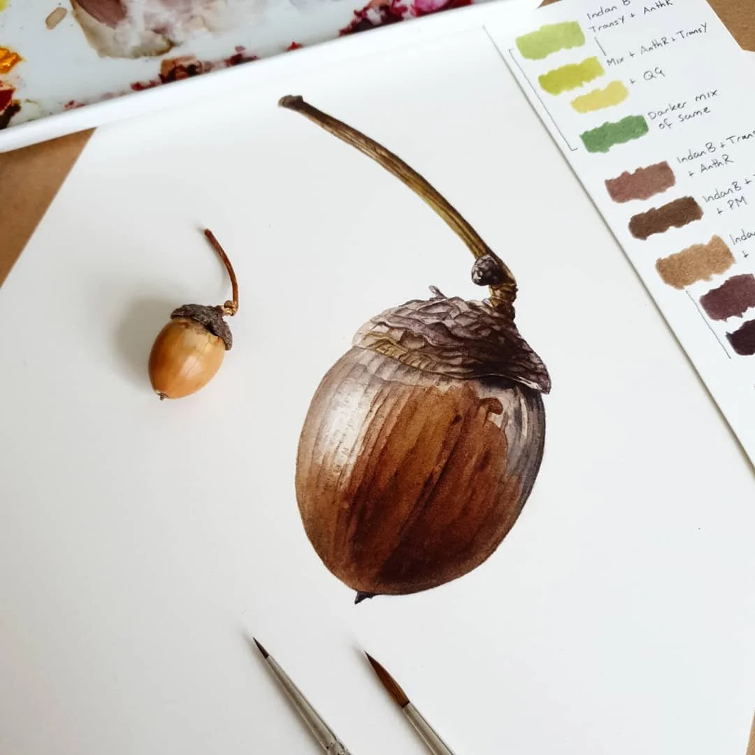 acorn 4.jpg