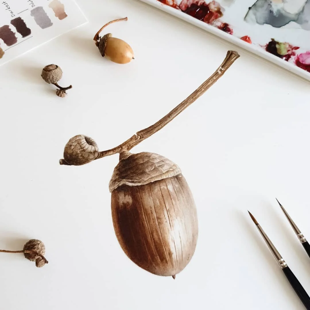 acorn 2 for framing.jpg