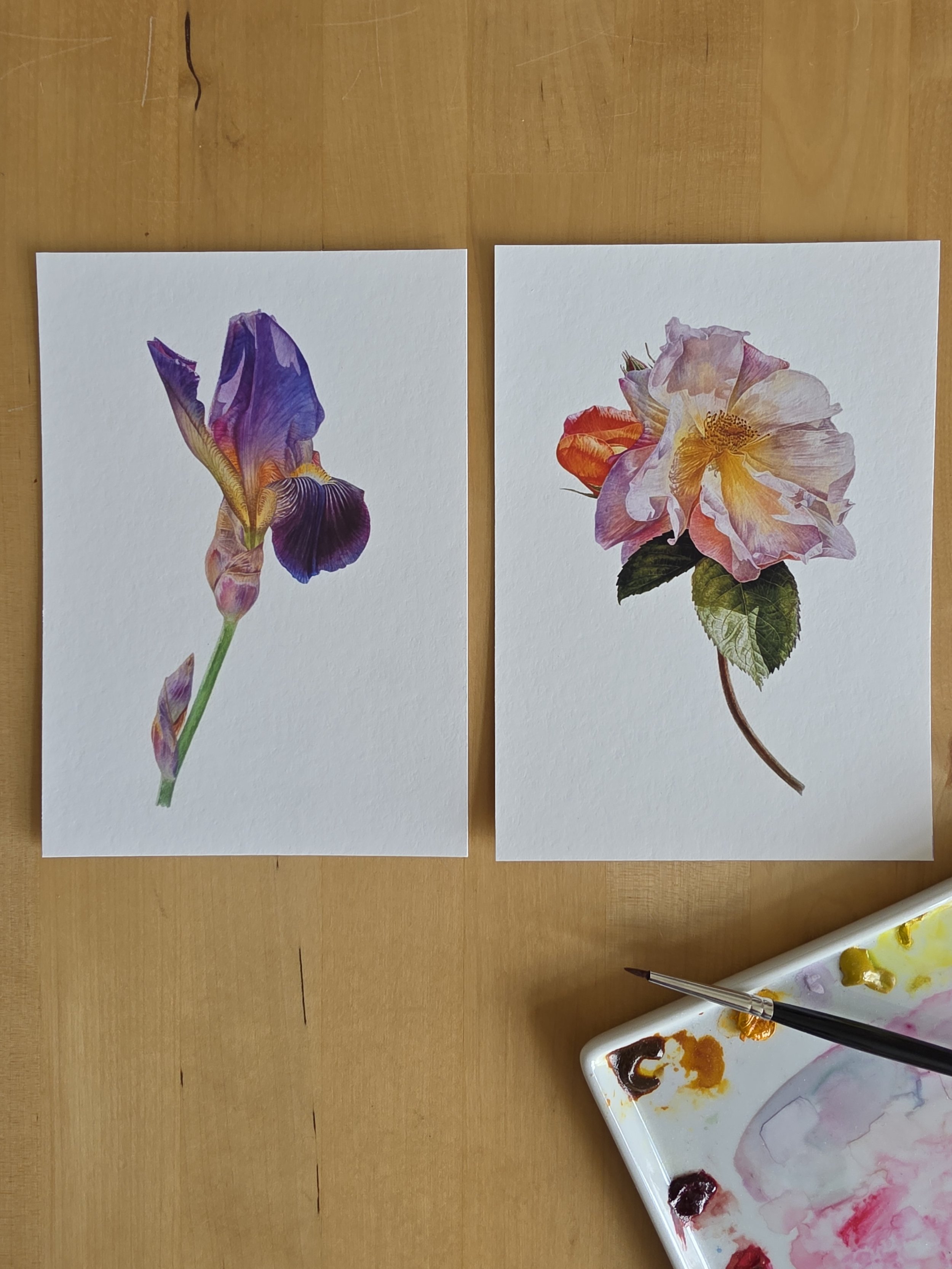 mini prints webpage .jpg