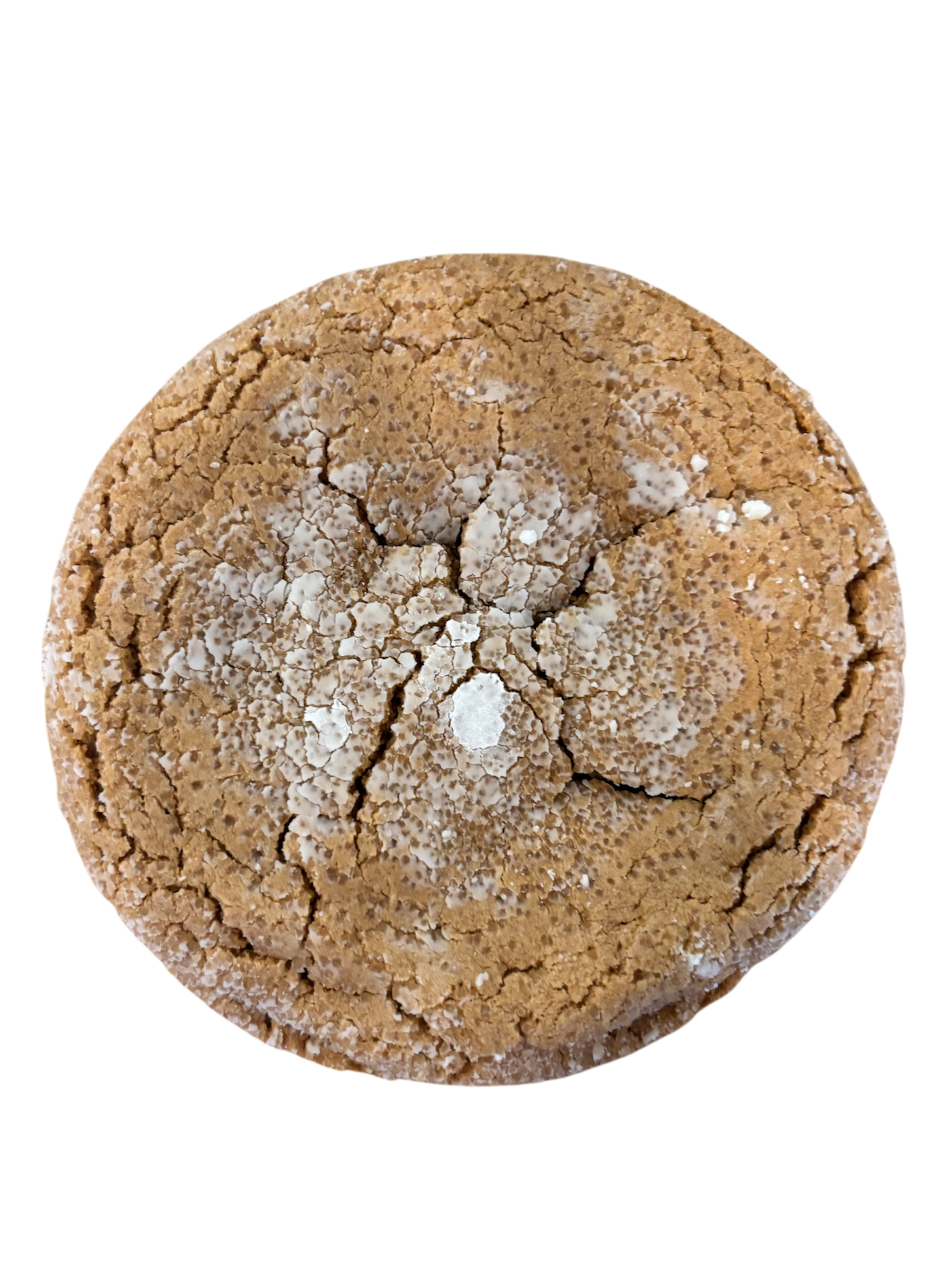 Gingerbreadcrinkle.png