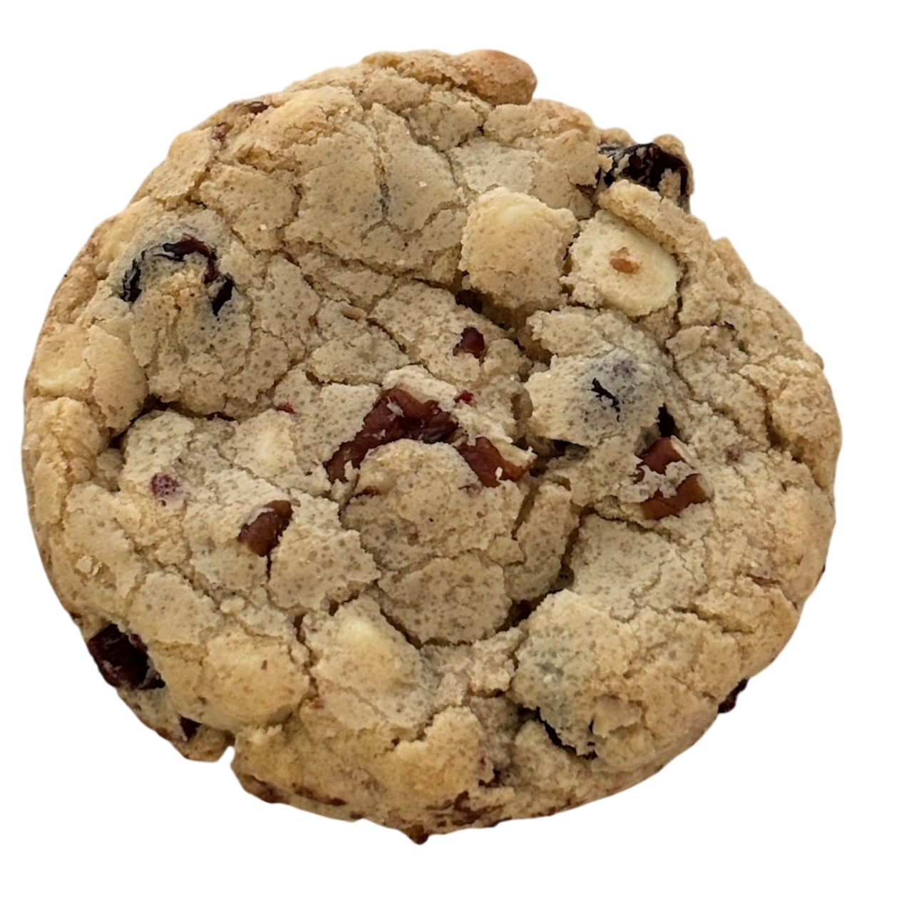 Photoroom_20250722_134337.png (Copy)