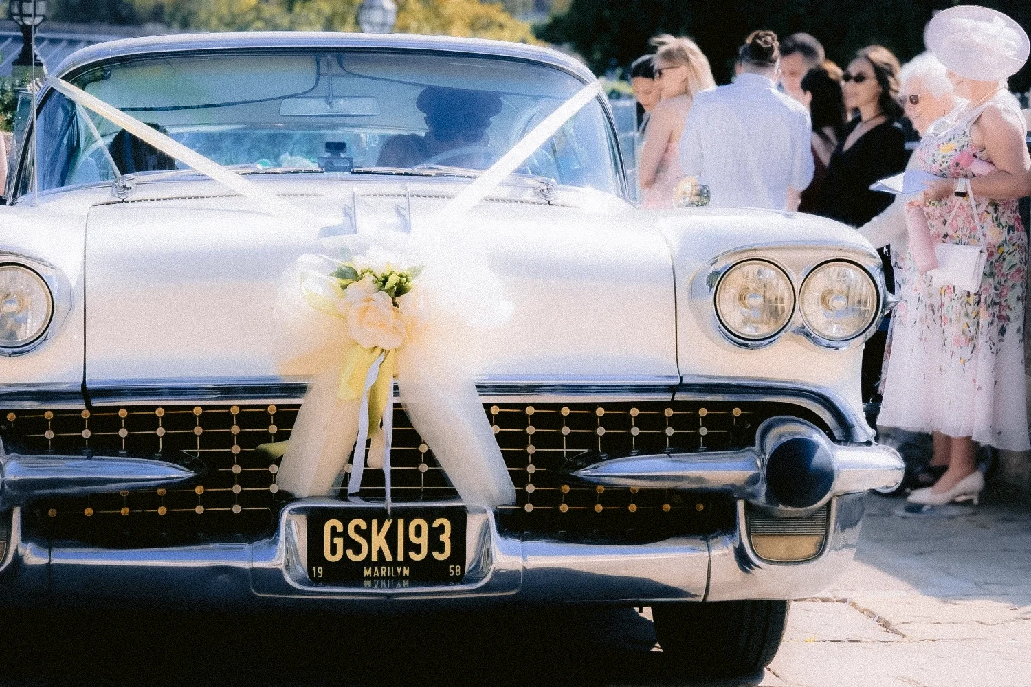 DSC_2209copy copy.webp