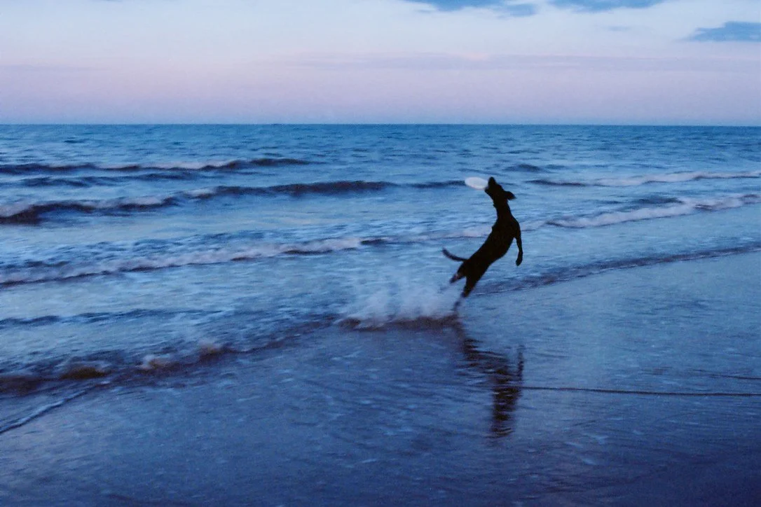 7C69B1D9-CB1D-4B69-B296-BC2659D6C705_1_105_c copy.jpg