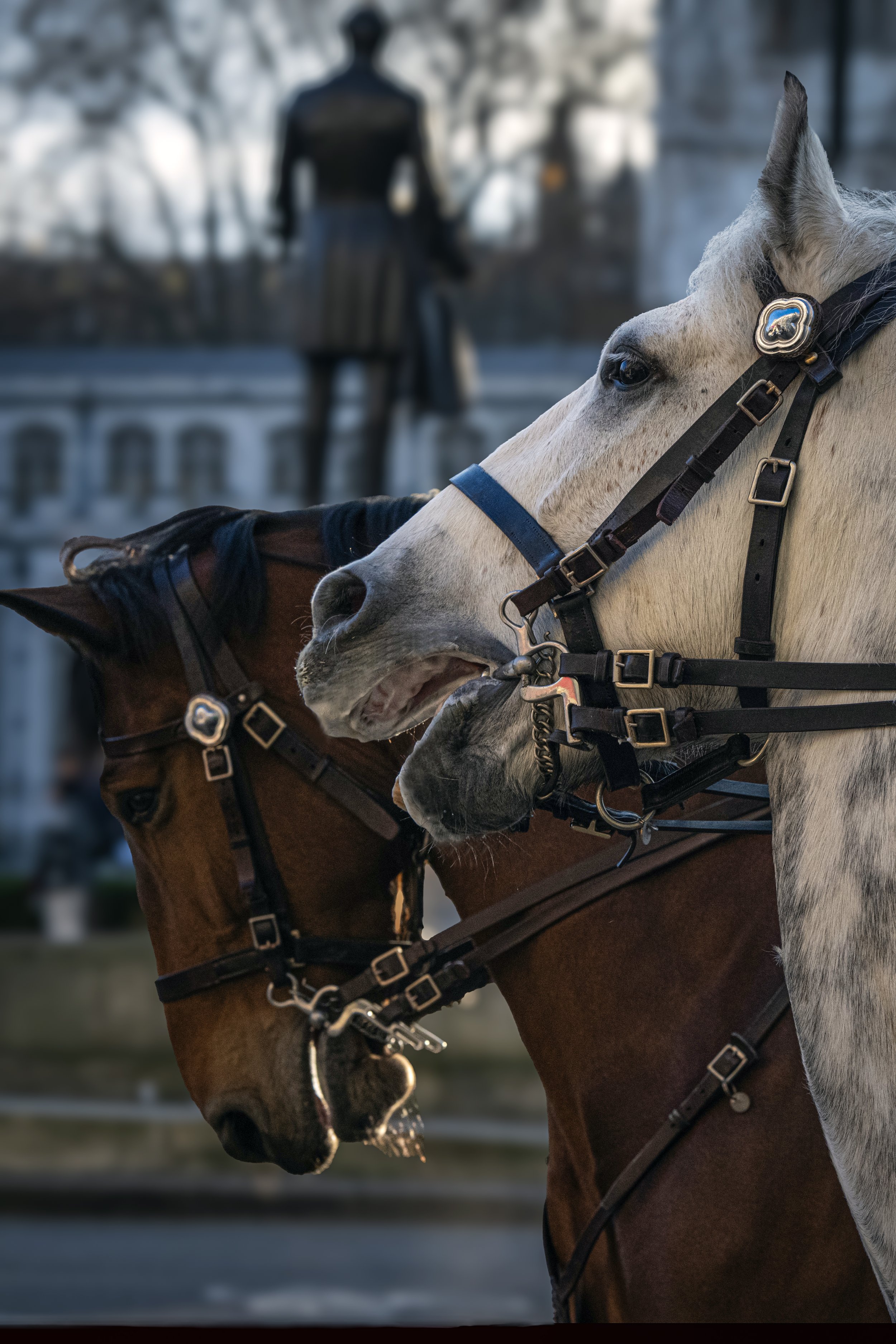 DSC_5844copy copy.jpg