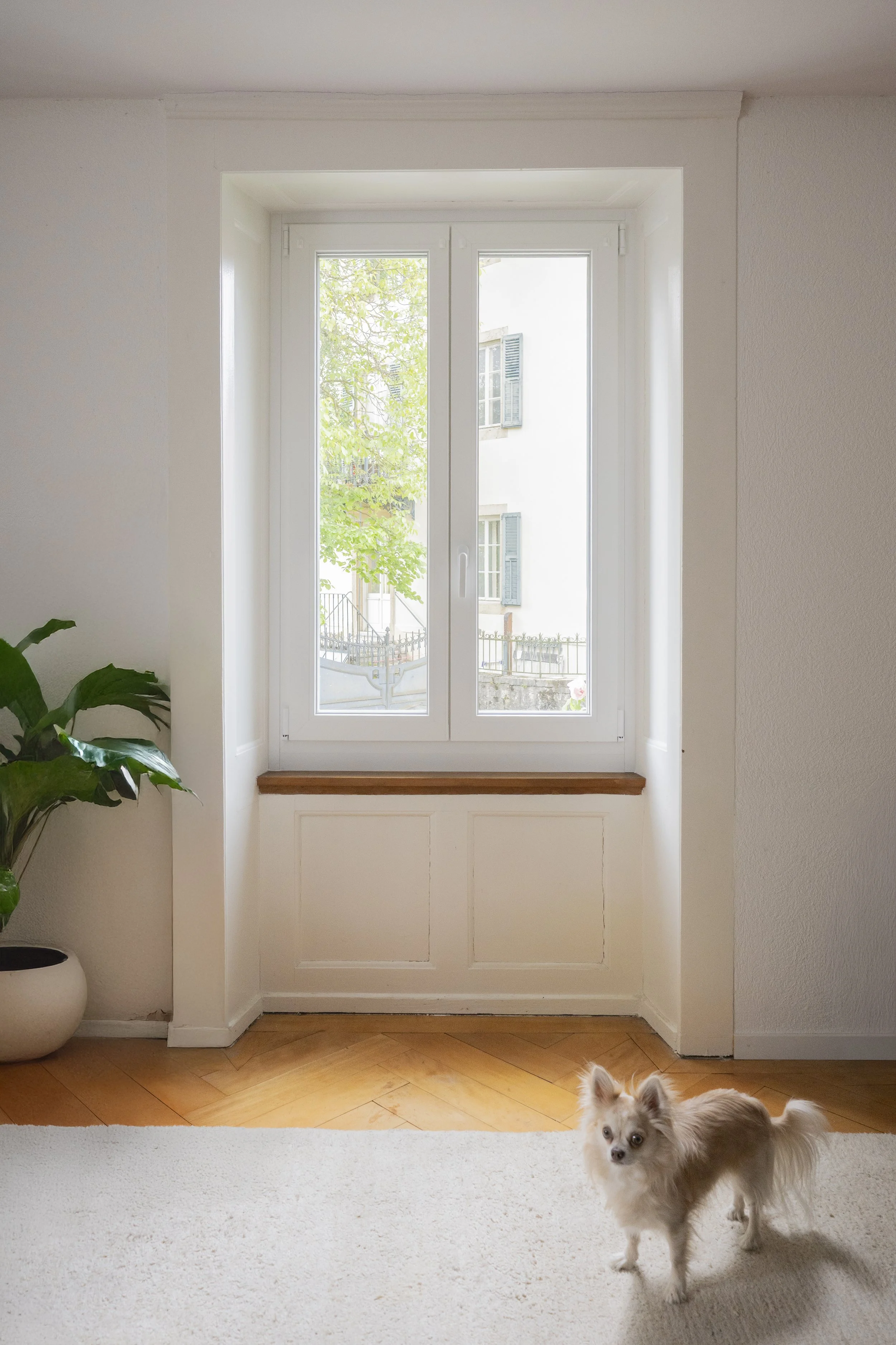 Remplacement des anciennes fenêtres, dans une villa à Colombier dans le canton de Neuchâtel, par des fenêtres PVC blanches, haute performance entre autre grâce à son excellent triple vitrage. 