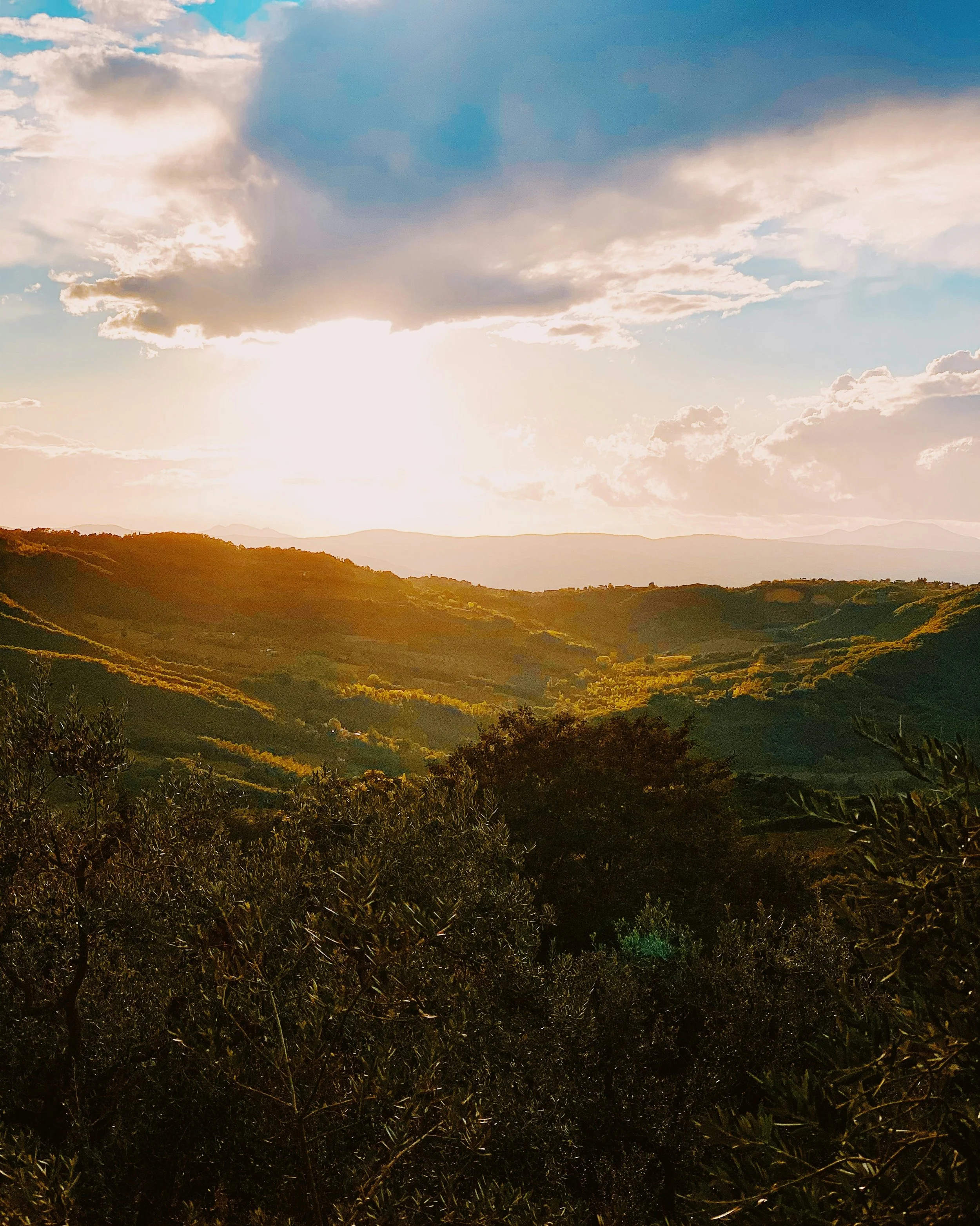 Sunset over rolling green hills with scattered trees, under a cloudy sky.