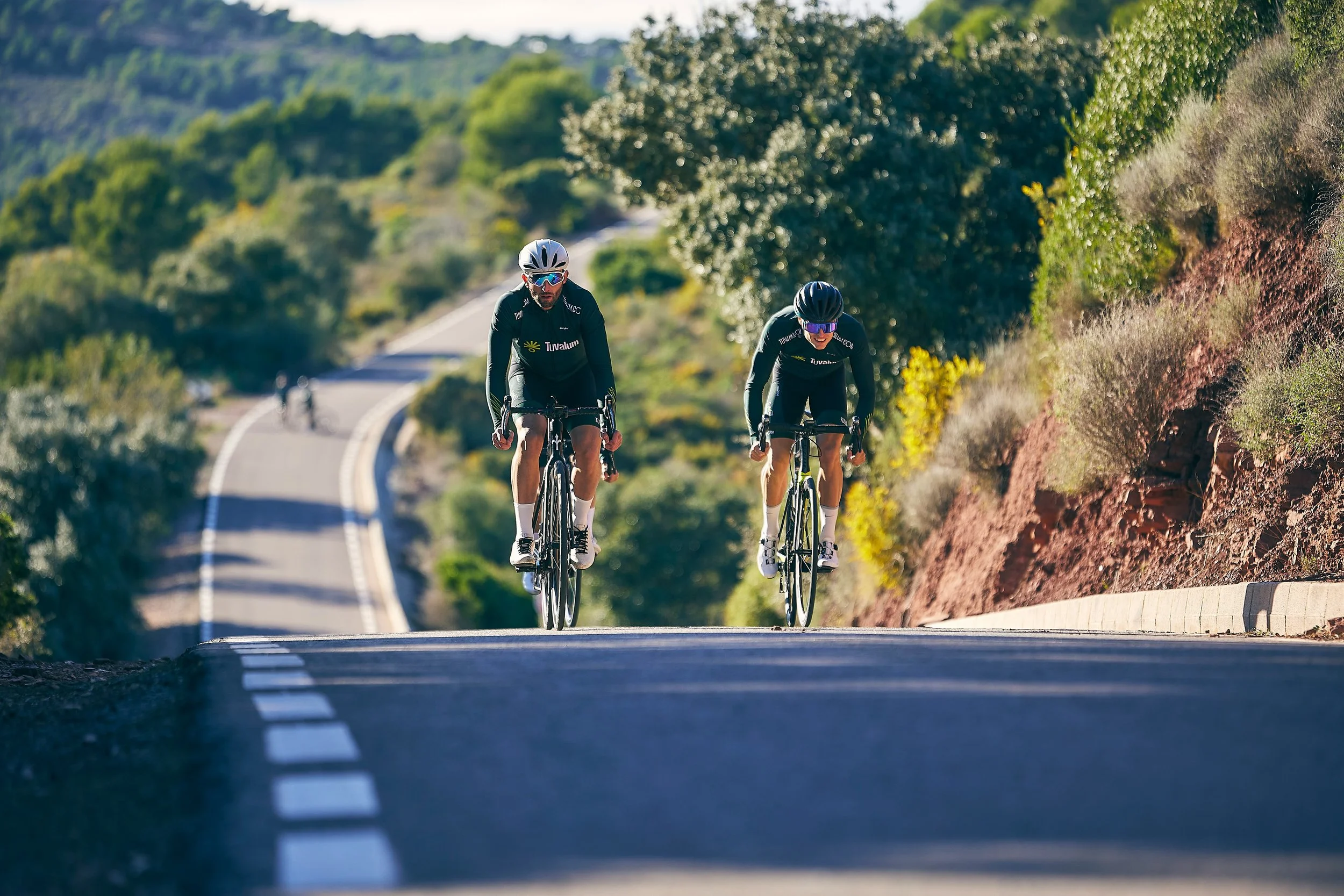 Two cyclists riding on a winding road surrounded by green trees and shrubs.
