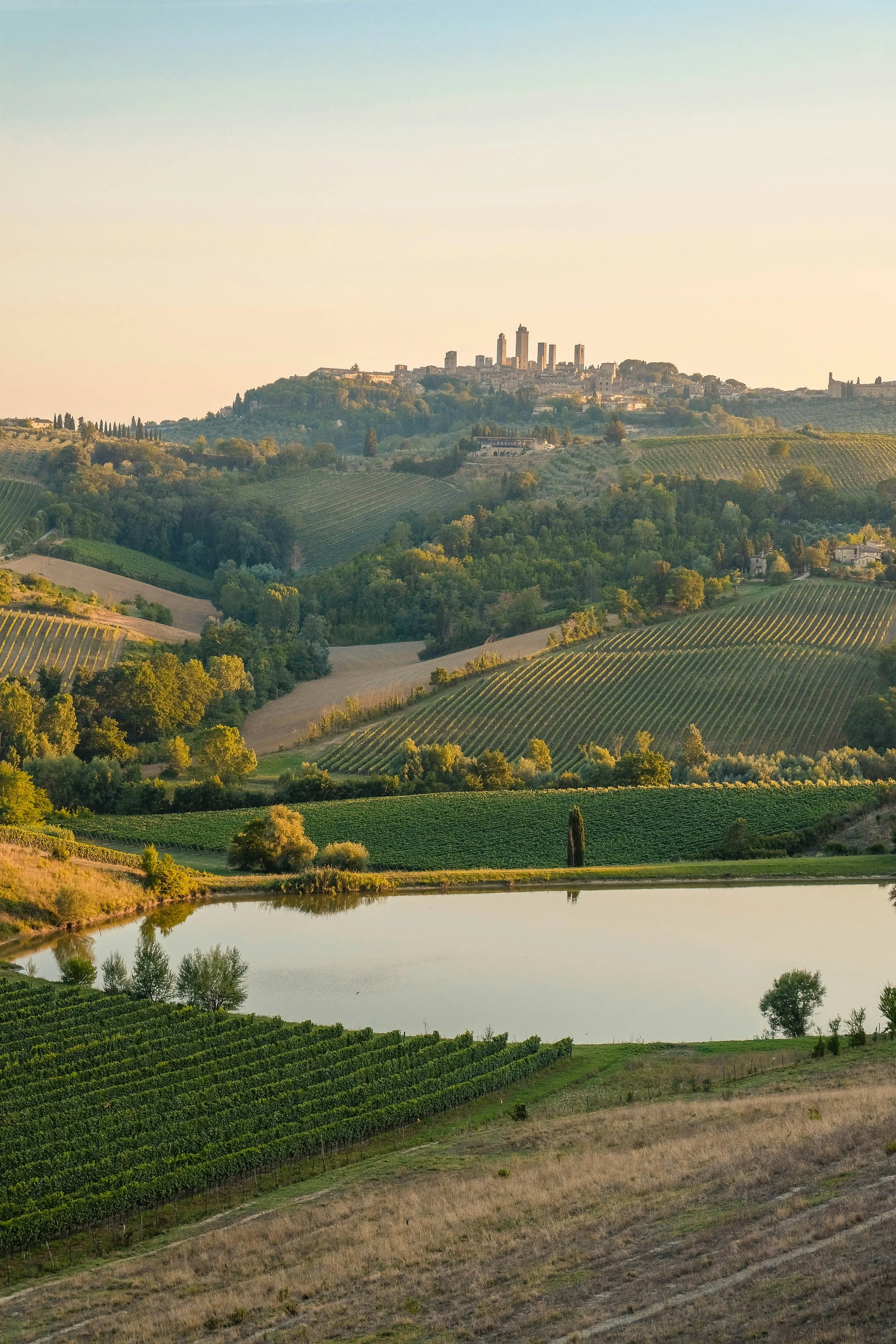 Scenic view of rolling vineyards and hills leading to a distant city skyline on a clear day, with a small body of water in the foreground.