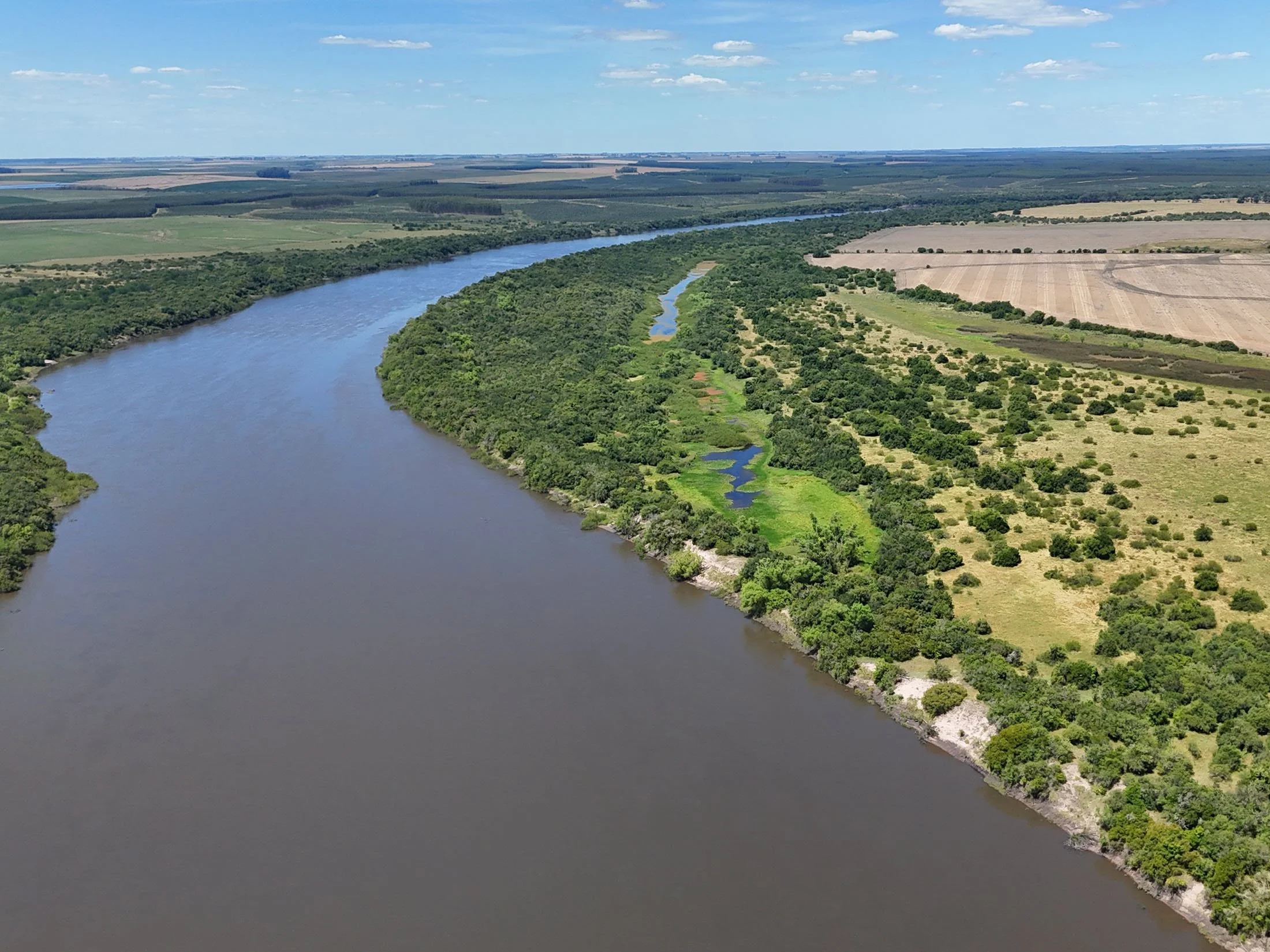 Large farm investment property in Río Negro, Uruguay
