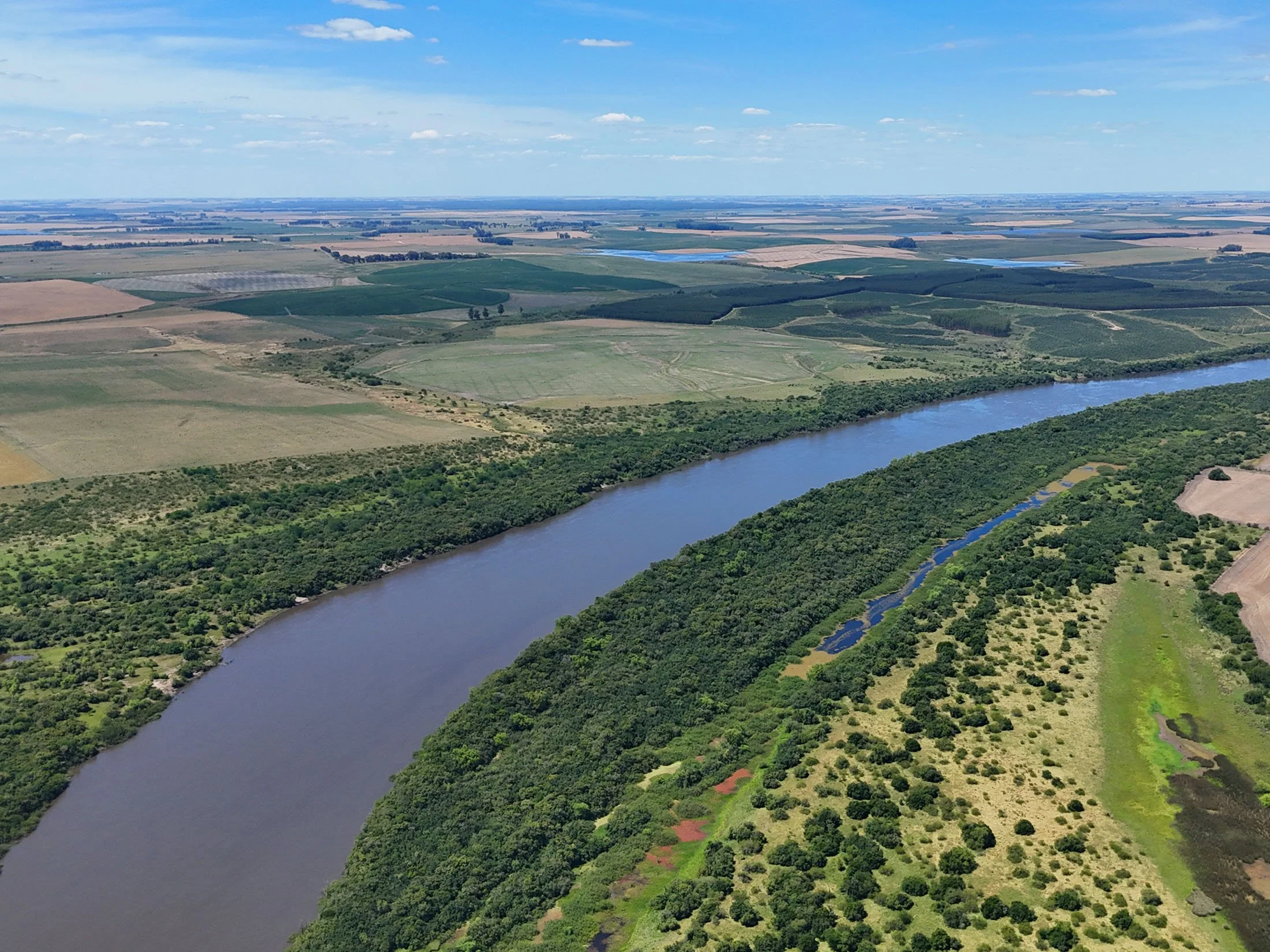 Large-Scale Farm | 3.668 Hectares in Río Negro