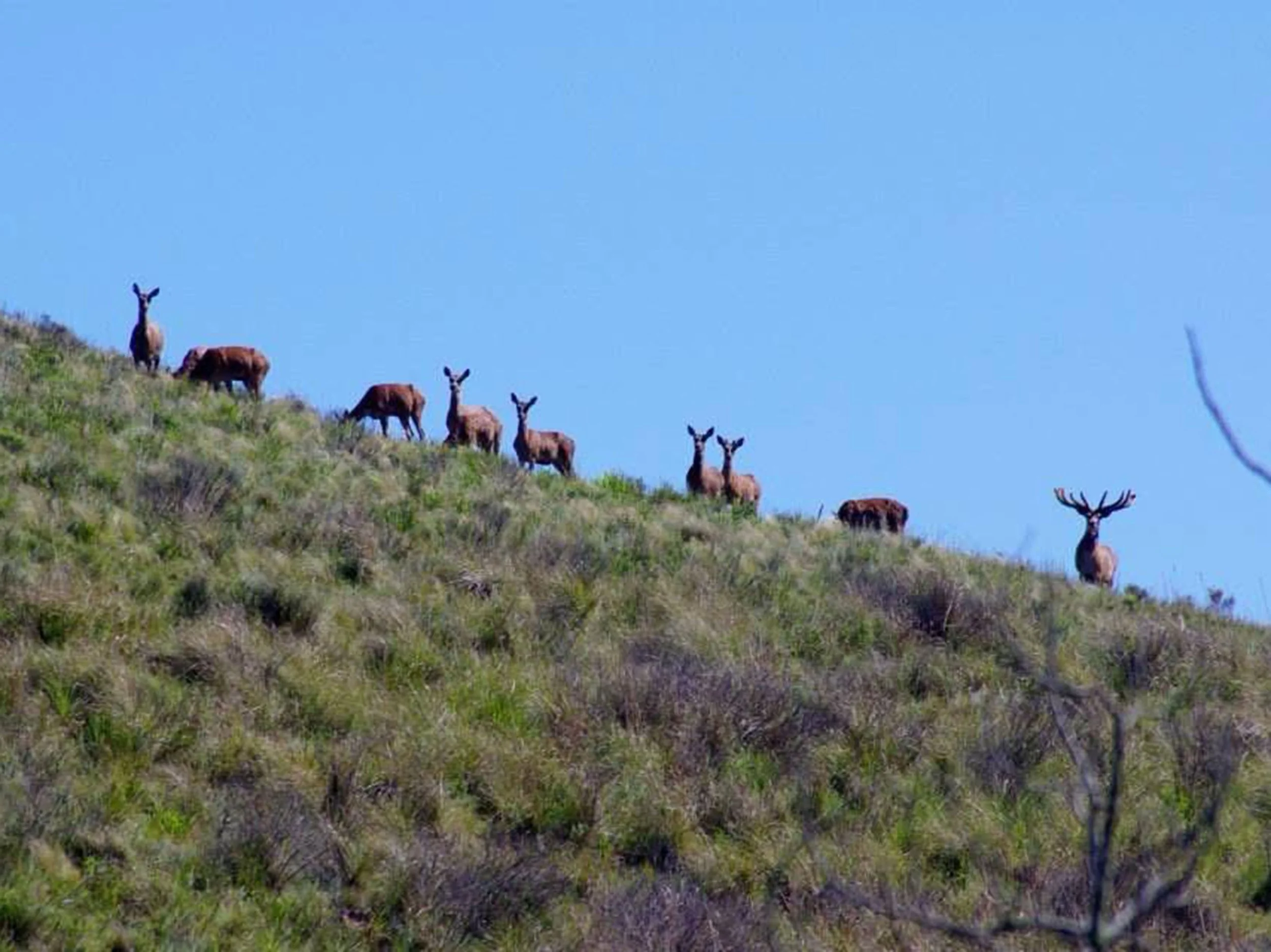 Game Ranch | 1.439 Hectares in Treinta y Tres