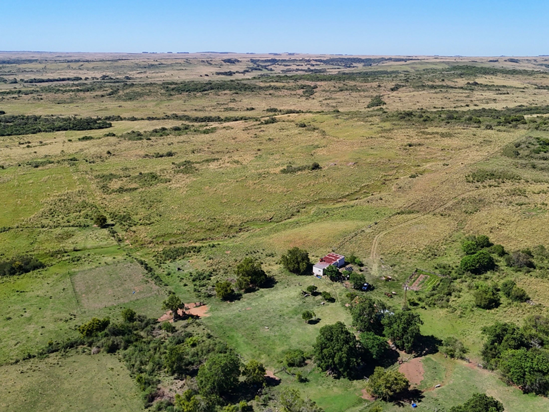 Cattle Ranch | 3.100 Hectares in Artigas