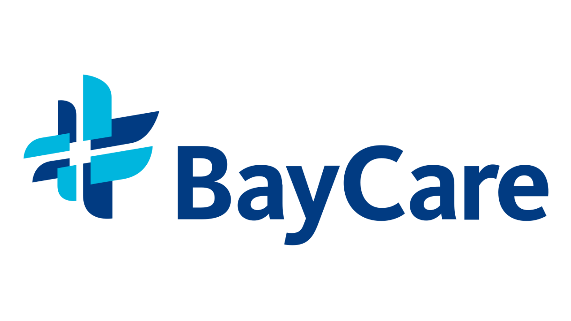 BAY CARE LOGO.png
