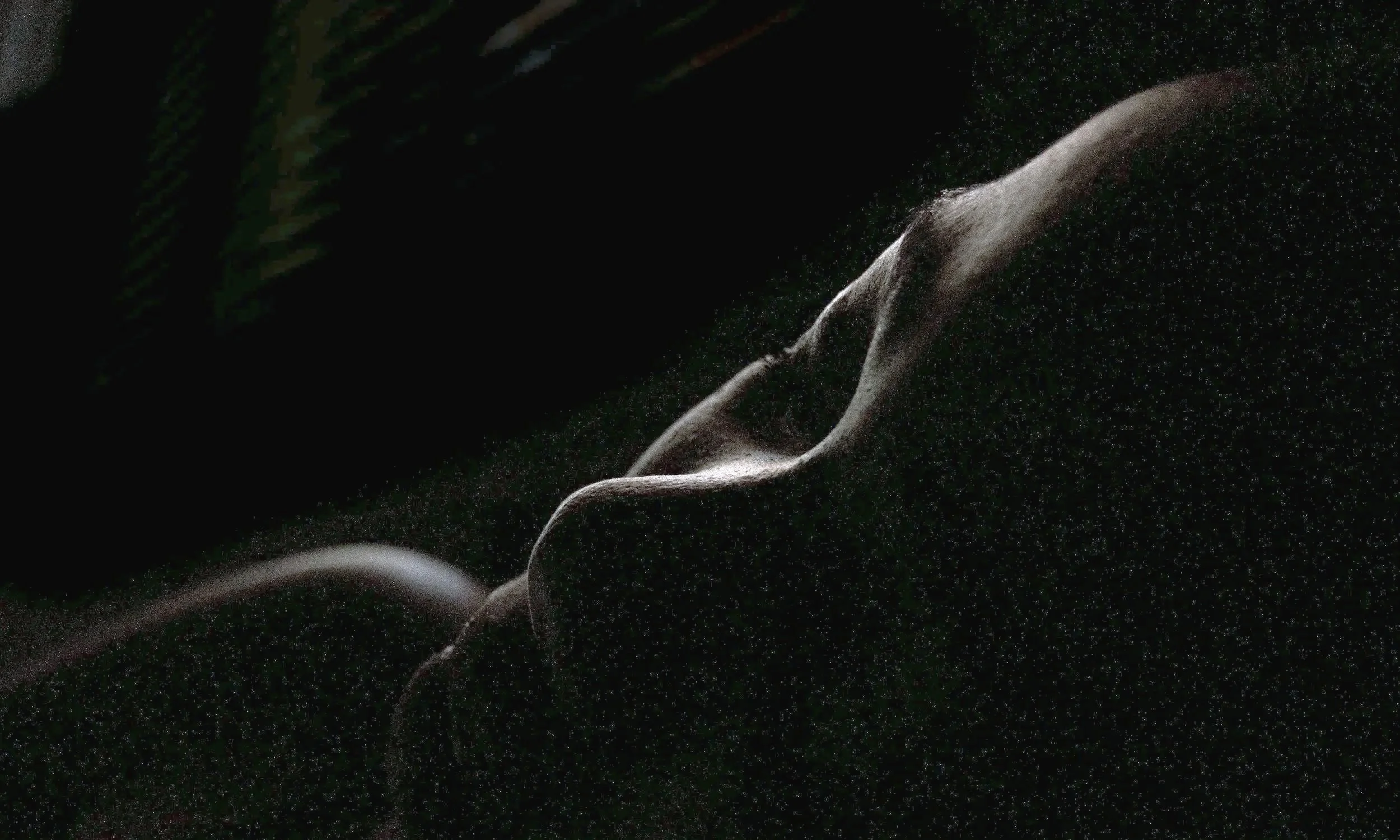 désir sensualité intimité