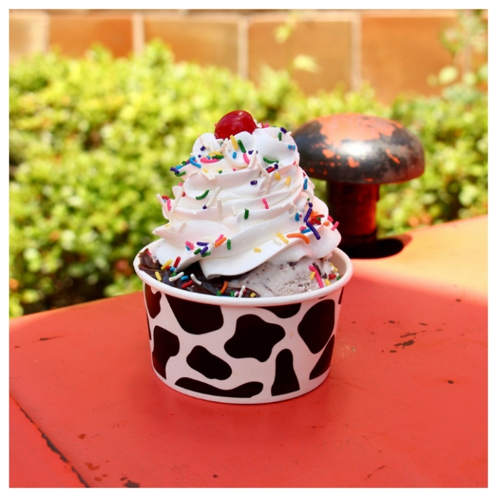CLASSIC SUNDAE
