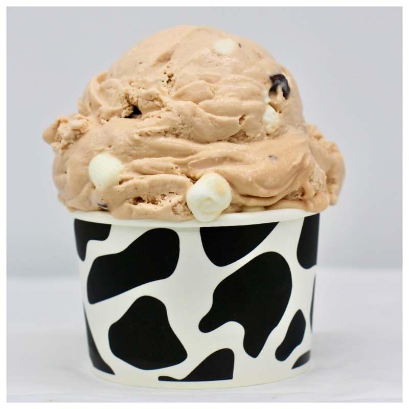 FROZEN HOT CHOCOLATE ICE CREAM