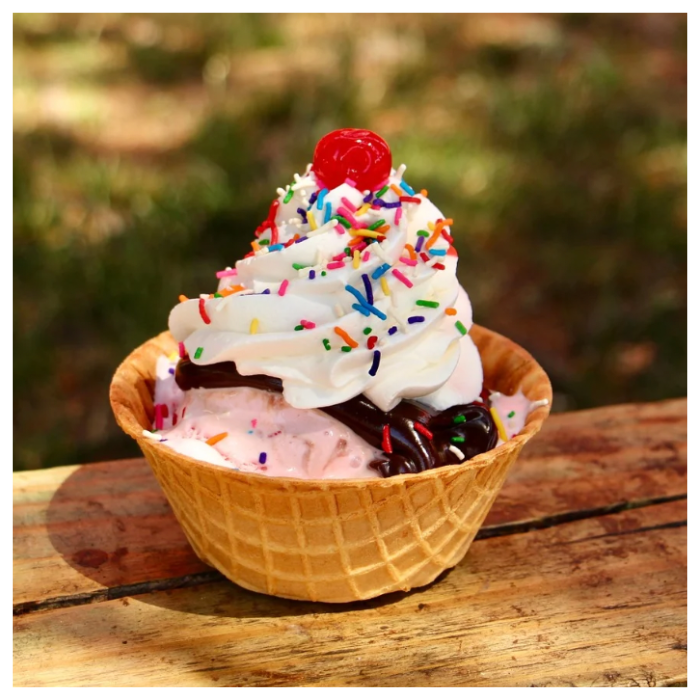 WAFFLE BOWL SUNDAE