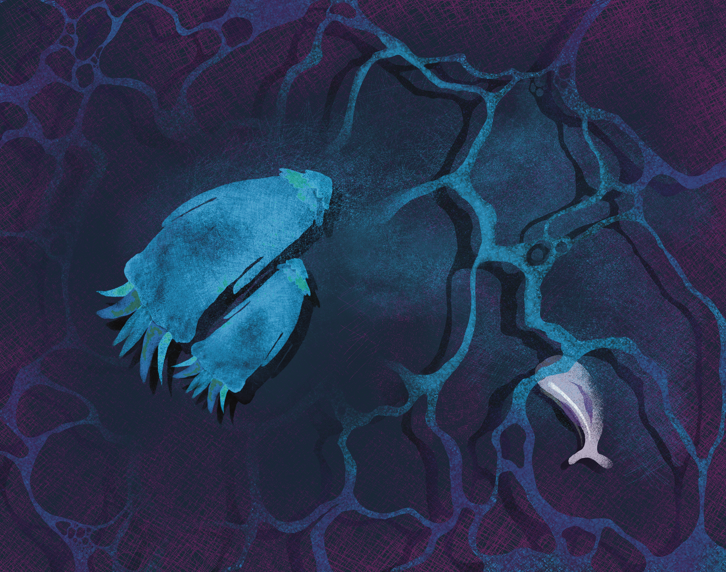 Untitled_Artwork 16.png