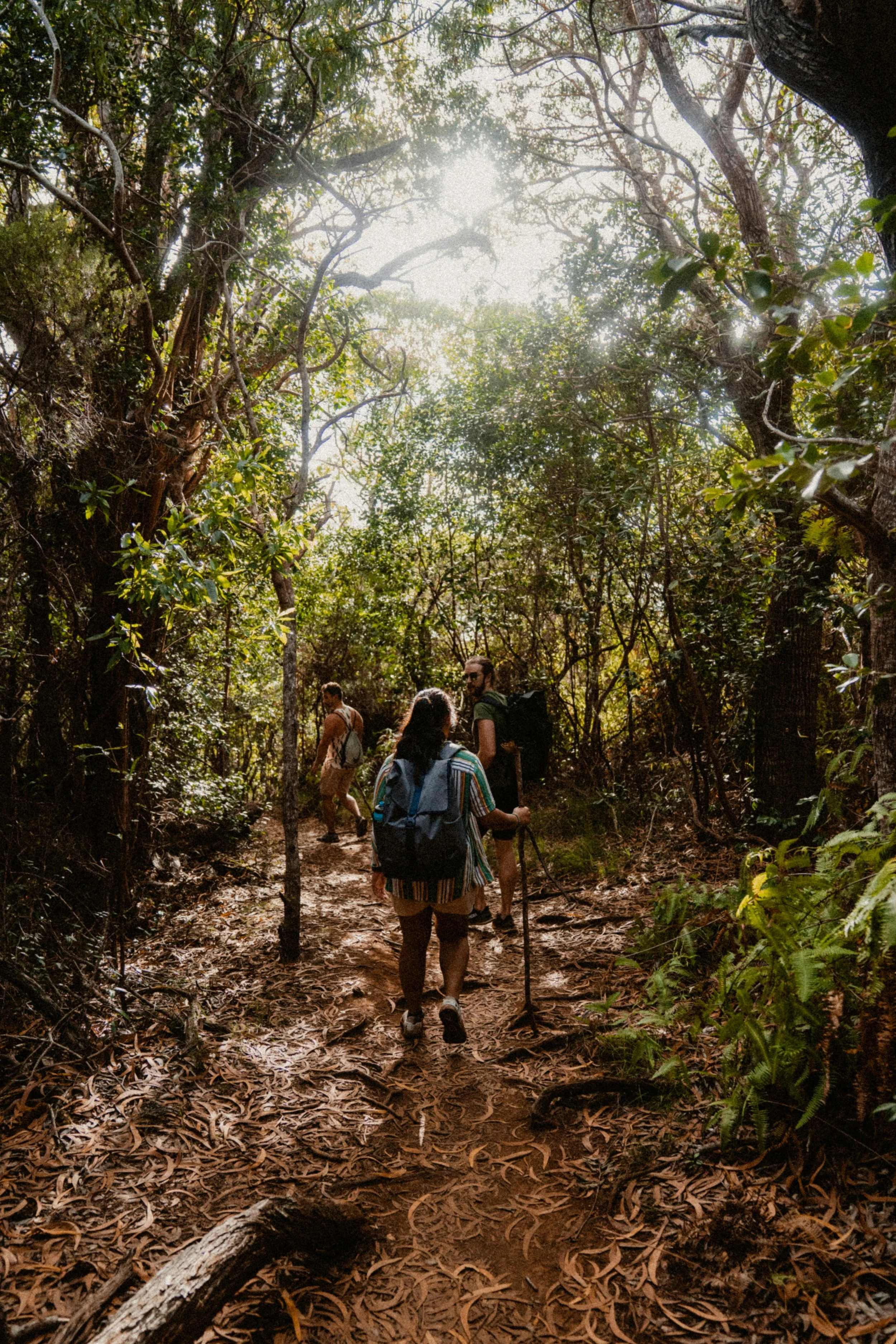 carter-rubio-zhrloV6bqGY-unsplash.jpg