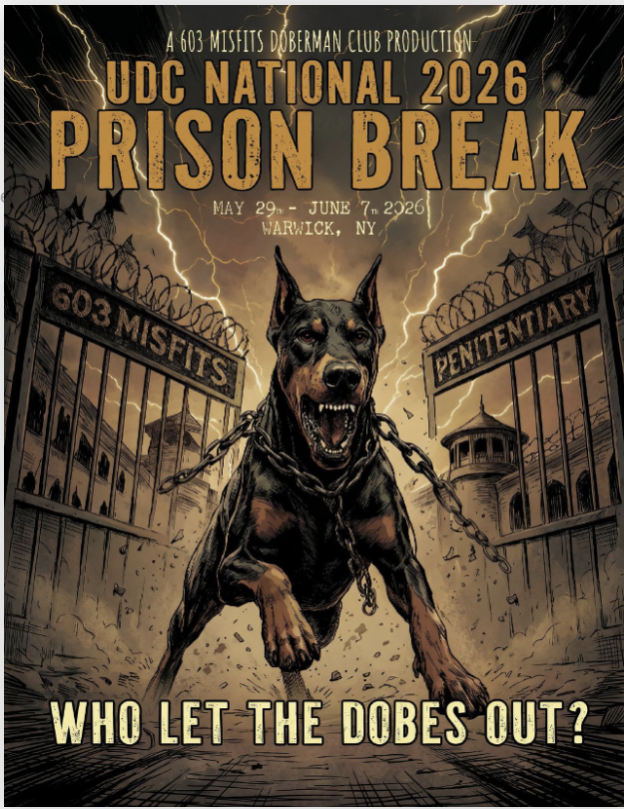 Marked UDC National 2026: Prison Break! Catalog