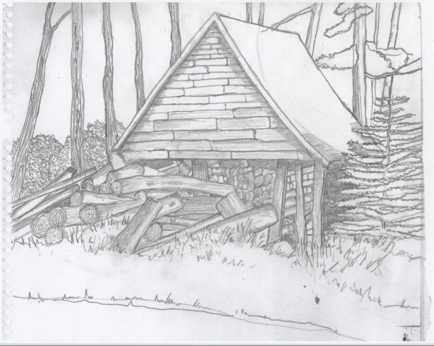 Wood Pile