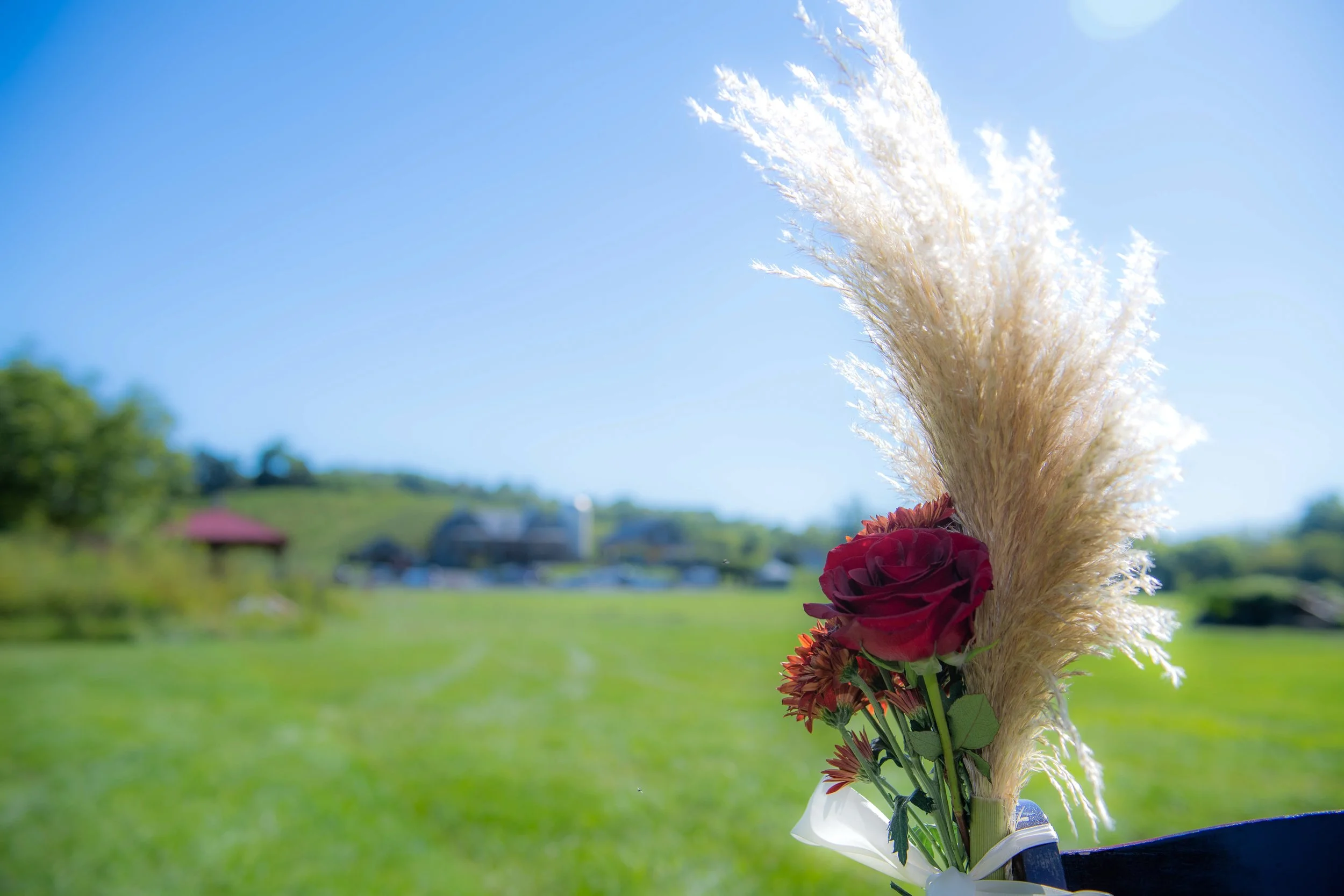 Reba & Shaynes Wedding221.jpg